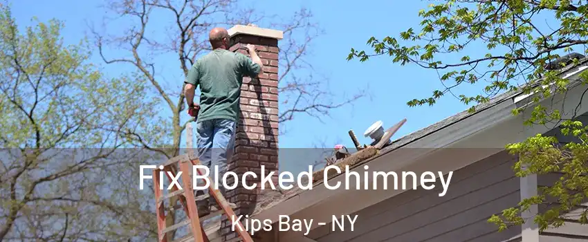 Fix Blocked Chimney Kips Bay - NY