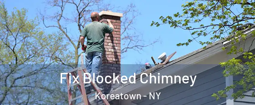 Fix Blocked Chimney Koreatown - NY