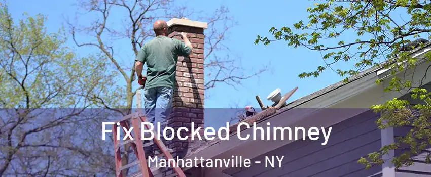 Fix Blocked Chimney Manhattanville - NY