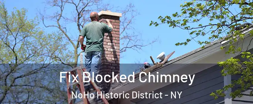 Fix Blocked Chimney NoHo Historic District - NY