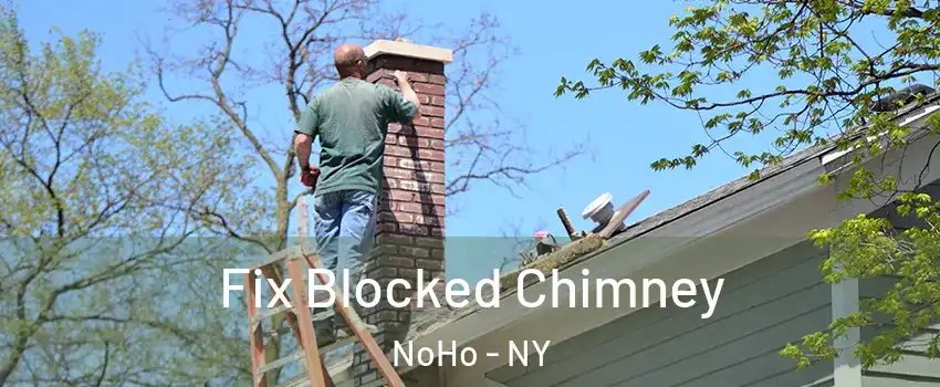 Fix Blocked Chimney NoHo - NY