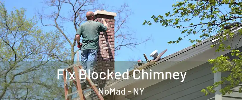 Fix Blocked Chimney NoMad - NY
