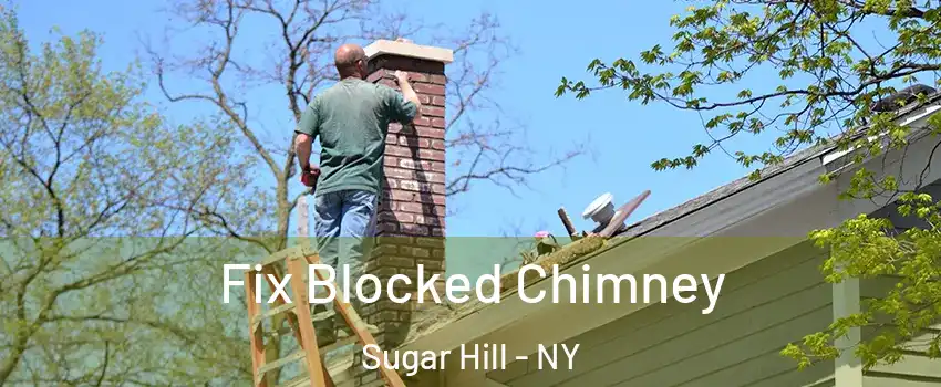 Fix Blocked Chimney Sugar Hill - NY