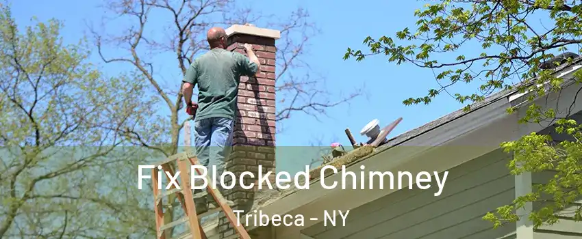 Fix Blocked Chimney Tribeca - NY