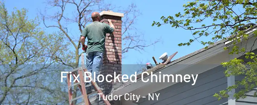 Fix Blocked Chimney Tudor City - NY