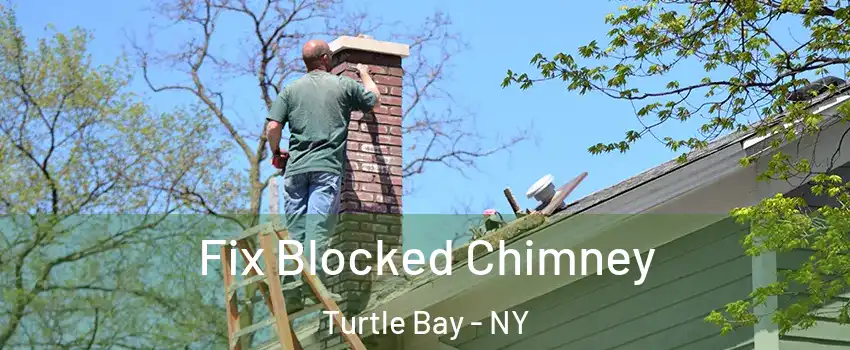 Fix Blocked Chimney Turtle Bay - NY