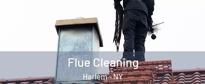Flue Cleaning Harlem - NY
