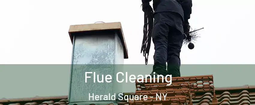 Flue Cleaning Herald Square - NY