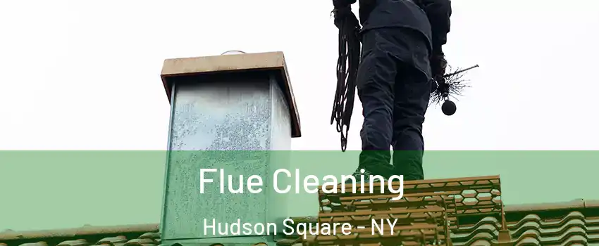 Flue Cleaning Hudson Square - NY