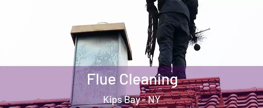 Flue Cleaning Kips Bay - NY