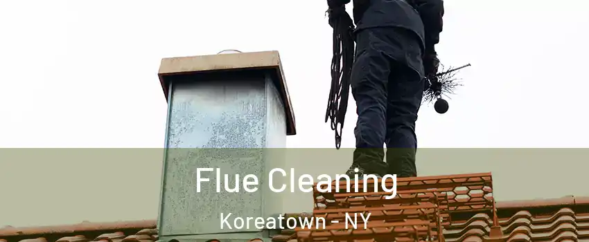 Flue Cleaning Koreatown - NY