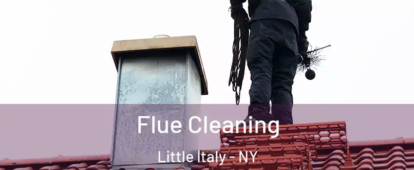 Flue Cleaning Little Italy - NY