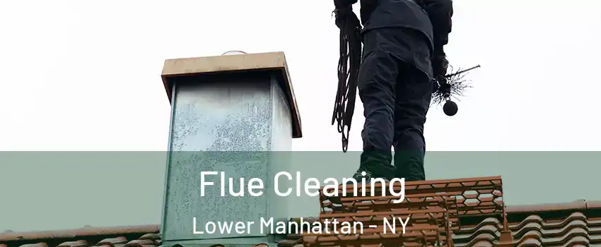 Flue Cleaning Lower Manhattan - NY