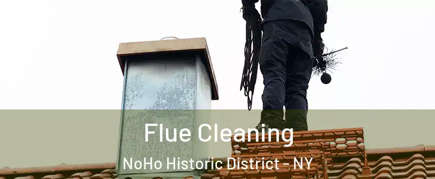 Flue Cleaning NoHo Historic District - NY