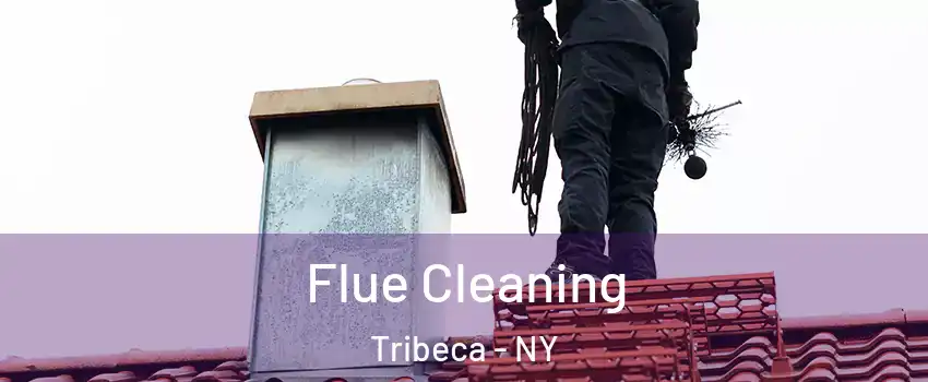Flue Cleaning Tribeca - NY