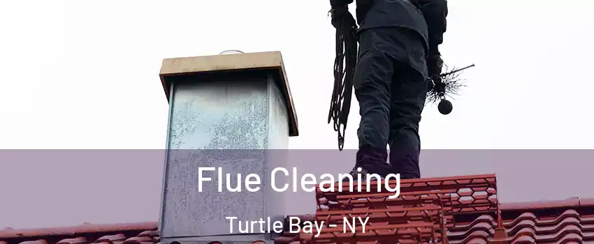 Flue Cleaning Turtle Bay - NY