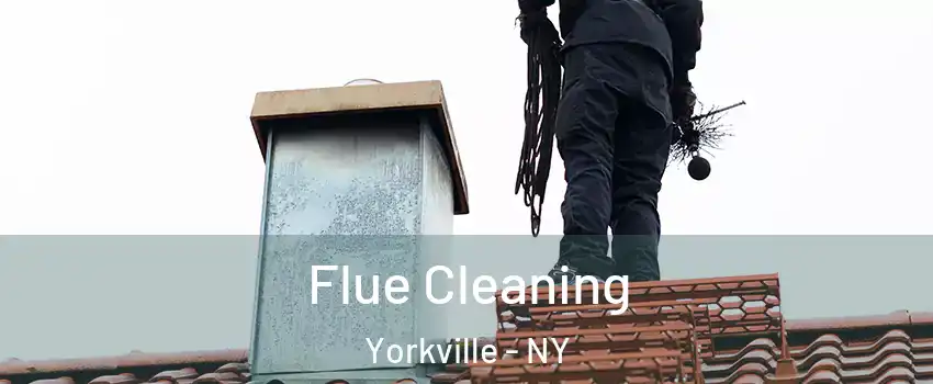 Flue Cleaning Yorkville - NY