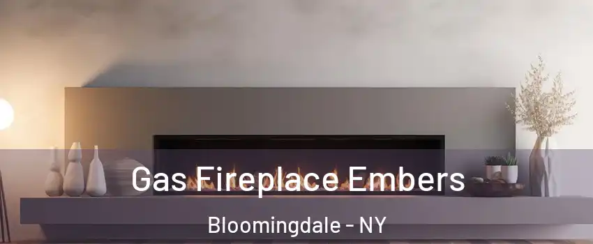 Gas Fireplace Embers Bloomingdale - NY