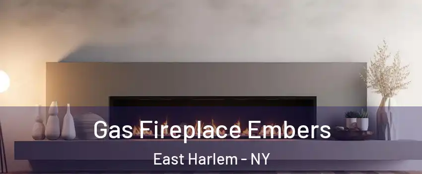 Gas Fireplace Embers East Harlem - NY
