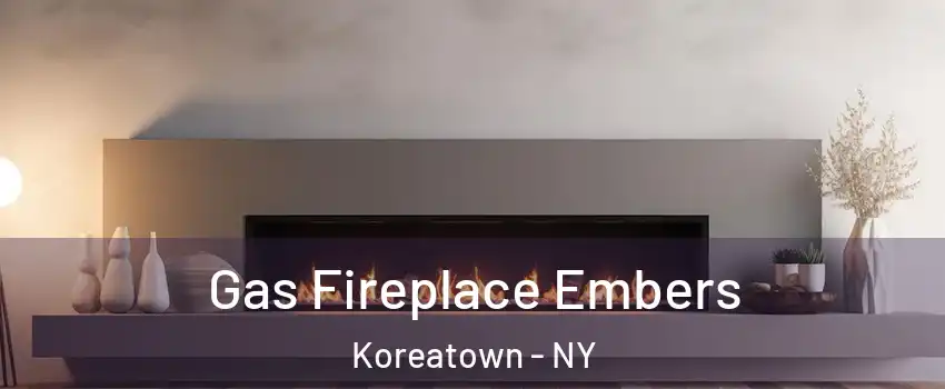 Gas Fireplace Embers Koreatown - NY