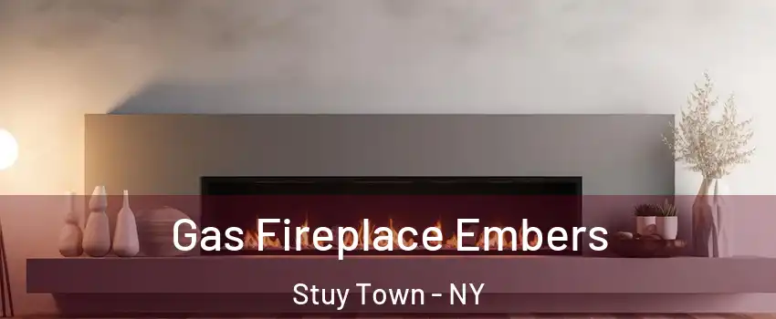 Gas Fireplace Embers Stuy Town - NY
