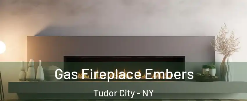 Gas Fireplace Embers Tudor City - NY