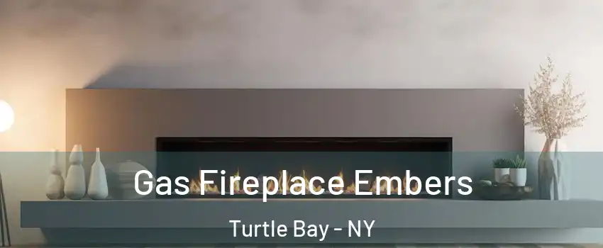Gas Fireplace Embers Turtle Bay - NY