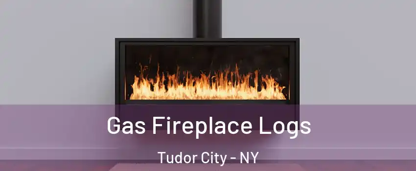 Gas Fireplace Logs Tudor City - NY