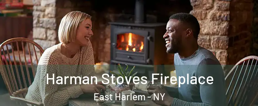 Harman Stoves Fireplace East Harlem - NY