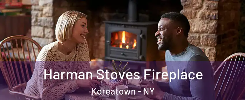 Harman Stoves Fireplace Koreatown - NY