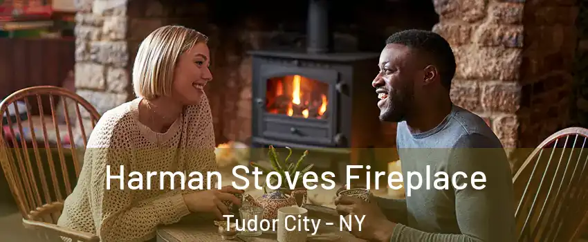 Harman Stoves Fireplace Tudor City - NY