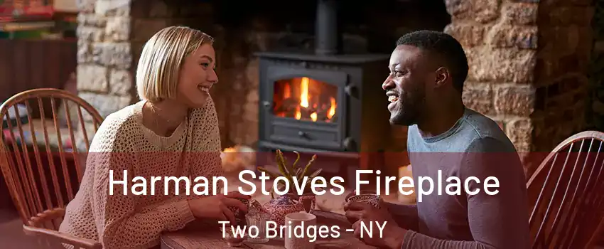 Harman Stoves Fireplace Two Bridges - NY
