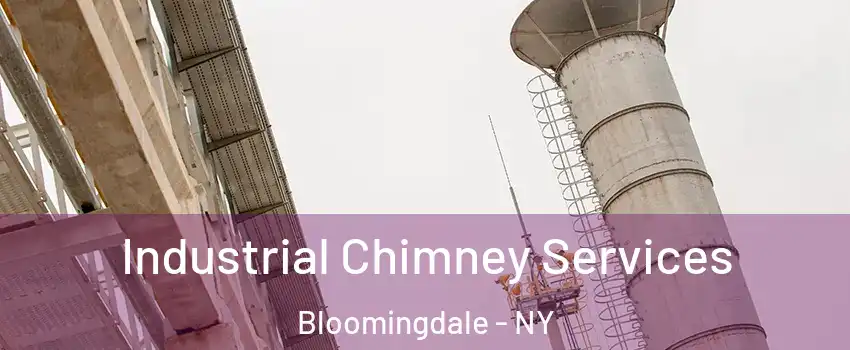 Industrial Chimney Services Bloomingdale - NY