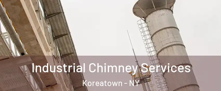 Industrial Chimney Services Koreatown - NY