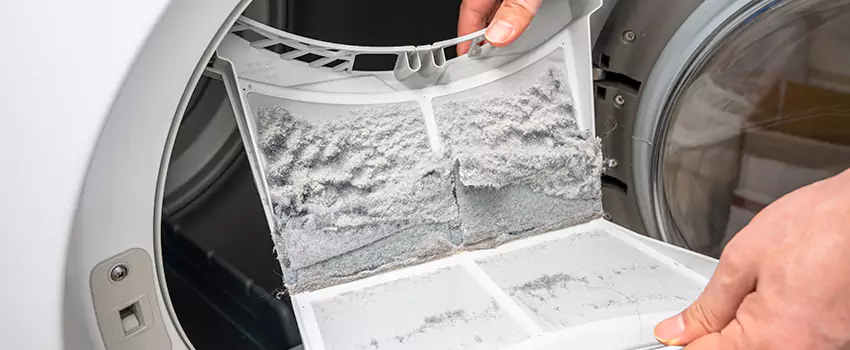 Best Dryer Lint Removal Company in Carnegie Hill, New York