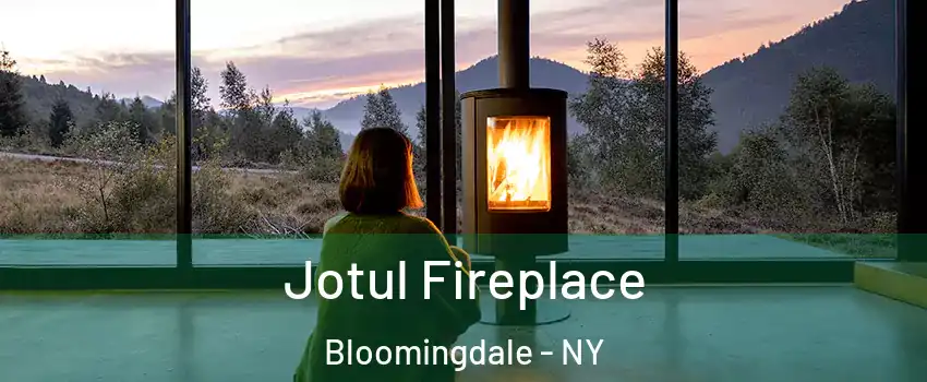 Jotul Fireplace Bloomingdale - NY