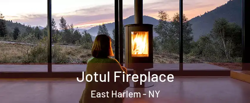 Jotul Fireplace East Harlem - NY