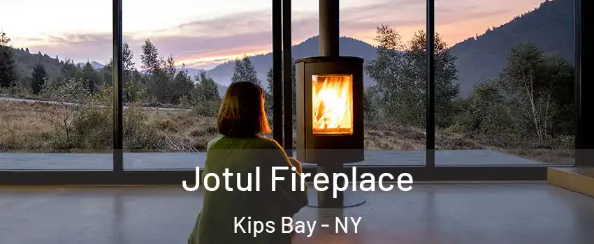 Jotul Fireplace Kips Bay - NY