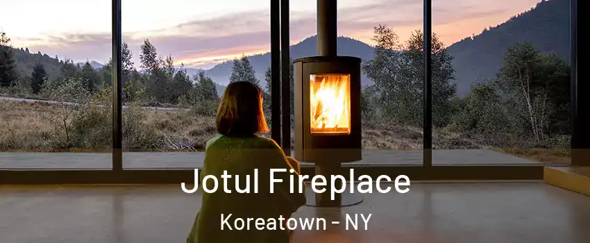 Jotul Fireplace Koreatown - NY