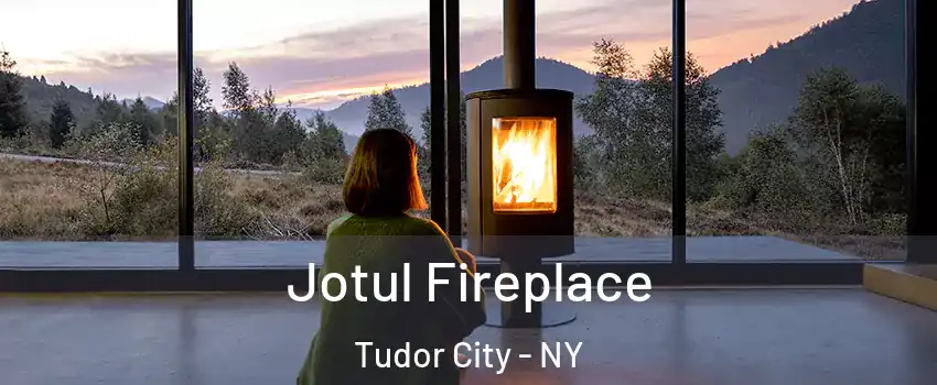 Jotul Fireplace Tudor City - NY