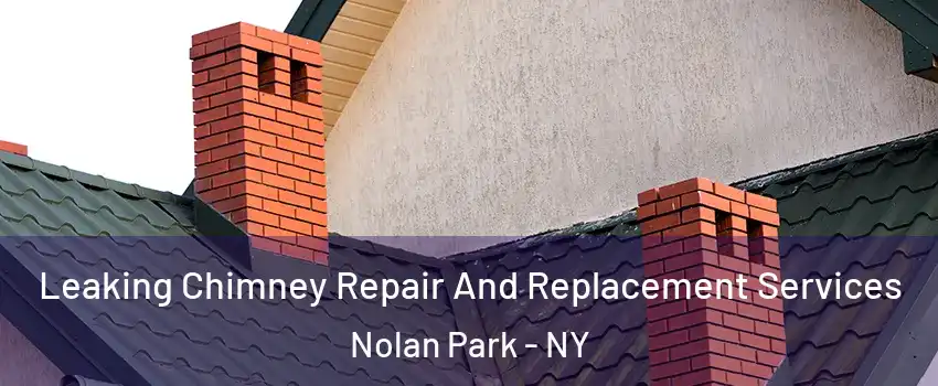 Leaking Chimney Repair And Replacement Services Nolan Park - NY