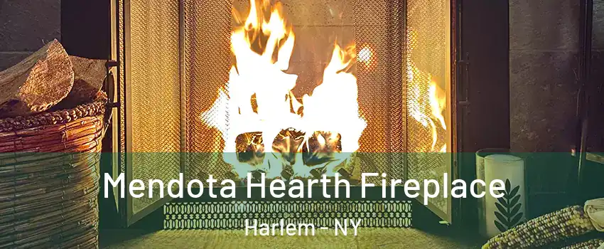 Mendota Hearth Fireplace Harlem - NY