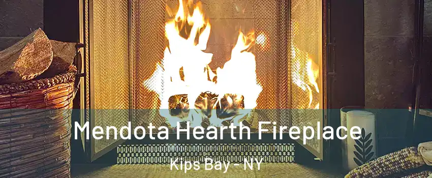 Mendota Hearth Fireplace Kips Bay - NY