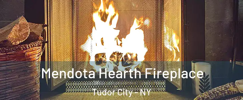Mendota Hearth Fireplace Tudor City - NY