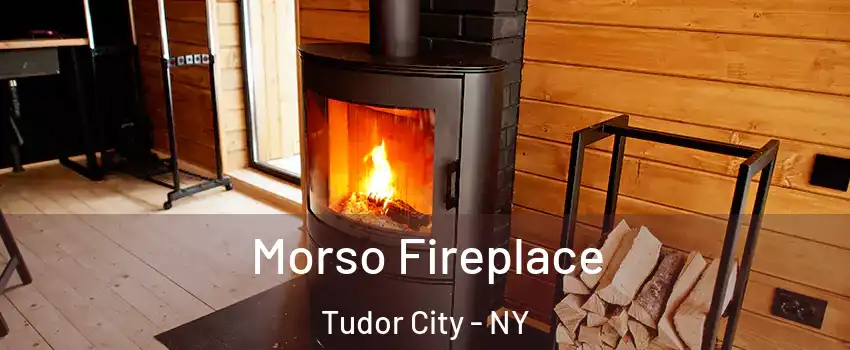 Morso Fireplace Tudor City - NY
