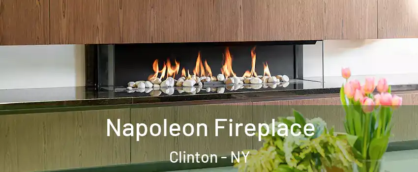 Napoleon Fireplace Clinton - NY