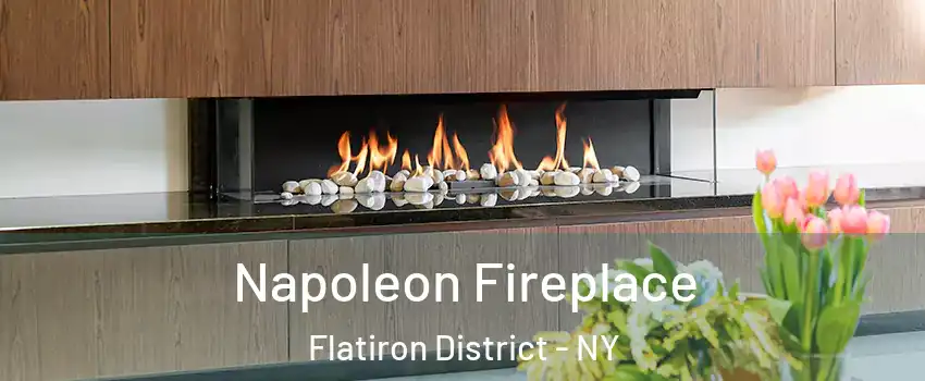 Napoleon Fireplace Flatiron District - NY