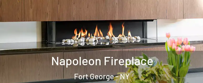 Napoleon Fireplace Fort George - NY