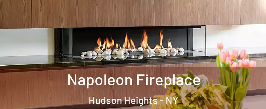 Napoleon Fireplace Hudson Heights - NY