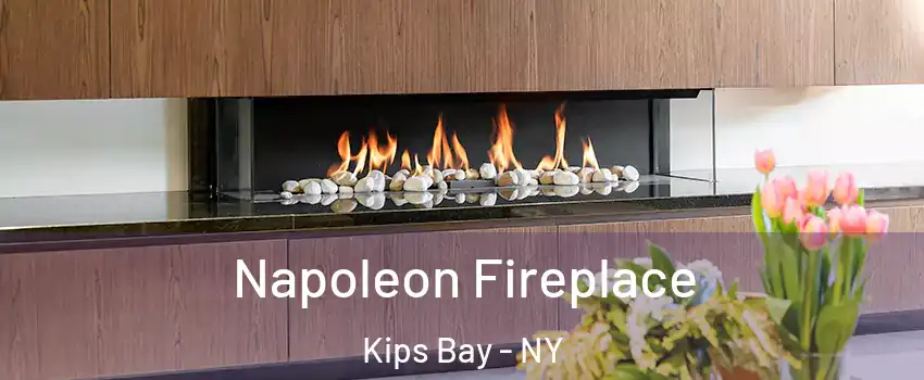 Napoleon Fireplace Kips Bay - NY